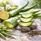aloe vera kuva