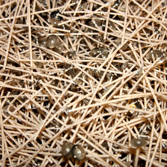eco 4