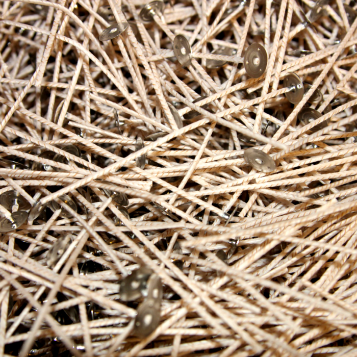 eco 6